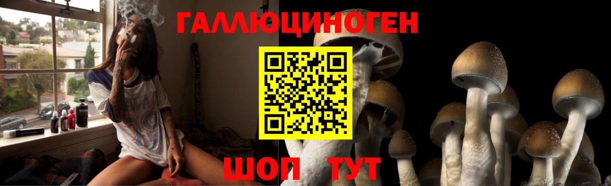 Джанкой  Галлюциногенные грибы Psilocybine cubensis  Вход с VPN 